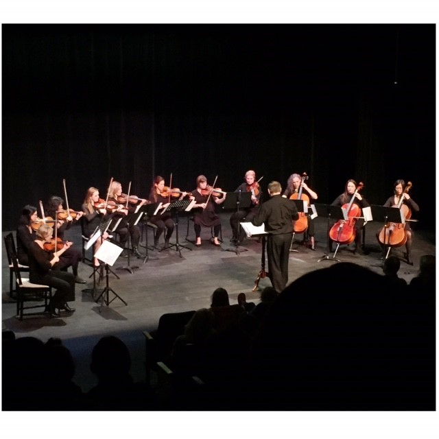The orchestra performing on stage at Maury Young Arts Centre, 2015